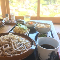 お蕎麦が美味しい