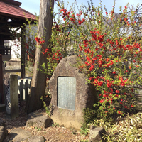 木瓜 2020/04/15 08:57:36