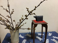 桜の枝 2021/03/30 20:10:00