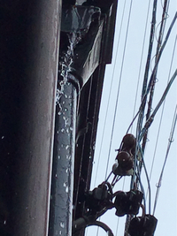 梅雨 2020/06/13 20:10:00