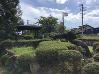 お彼岸 2020/09/20 20:10:00