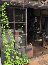 朝顔 2020/07/31 20:10:00