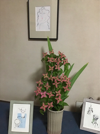 玄関先 2020/06/02 20:10:00