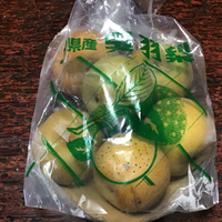 呉羽の梨 2020/08/28 20:10:00