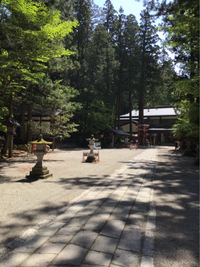 神社 2020/05/13 20:10:00