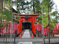 稲荷神社 2024/08/22 08:59:32
