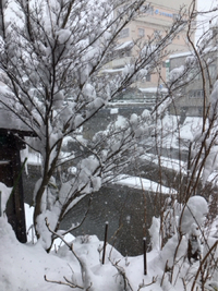 降り続く雪 2025/02/08 20:10:00
