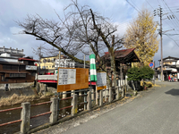 告知 2024/12/11 20:10:00