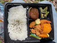 弁当　藤棚