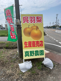 直売所 2024/09/08 20:10:00