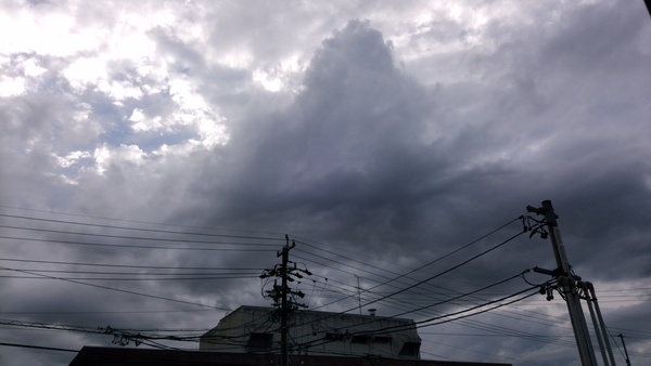 亀クリ営業中ヽ O 丿 雨のち曇り時々晴れ