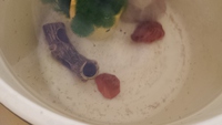 金魚が産卵！！！