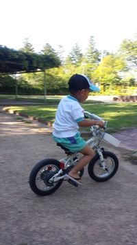 自転車に・・・