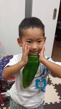 でっかいピーマン