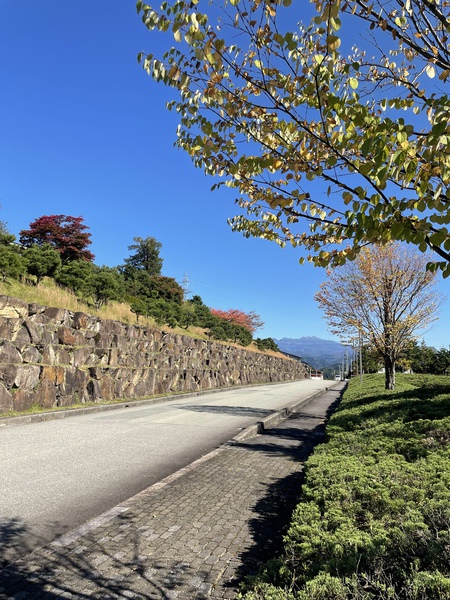 秋の紅葉がきれいです♪