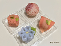 JVS華和菓子上生菓子上級コース３