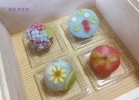 JVS華和菓子上生菓子基礎コース３