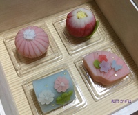 JVS華和菓子上生菓子基礎コース５