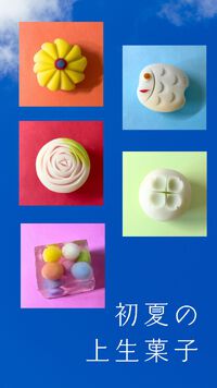 初夏の上生菓子