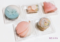 JVS華和菓子上生菓子上級コース１