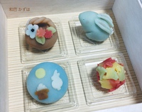JVS華和菓子上生菓子基礎コース４