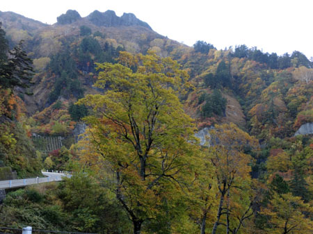 世界遺産 白川郷 圭ちゃんの 温泉旅行 観光ブログ 白川郷から加賀温泉郷を結ぶ山岳ドライブコース白山スーパー林道では 紅葉 が見頃を迎えています N H