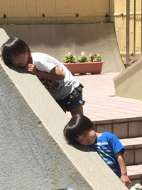 いーい天気。 2015/06/10 11:32:12