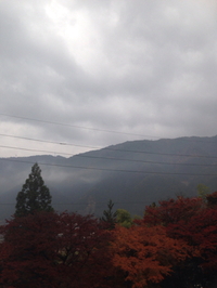 合唱祭。 2014/11/12 08:49:36