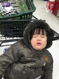 春眠。 2015/02/05 00:13:22