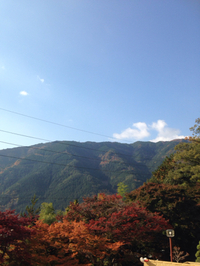 さぶ〜い。 2014/11/07 09:03:25
