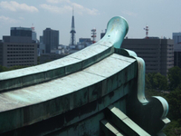 武将(ｰ ｰ;) 2015/07/30 08:33:05