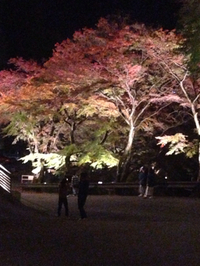 ライトアップ。 2014/11/08 20:18:02