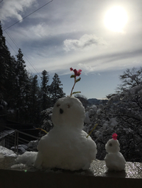日光浴。 2014/12/07 11:50:07