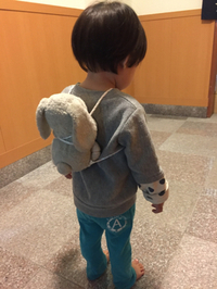 いわれ。 2014/11/23 10:23:51