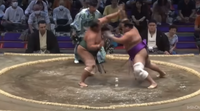 「大相撲名古屋場所見てます」～二子山部屋推し～