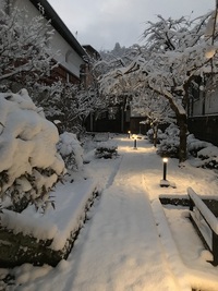 「久しぶりに降りましたね」
