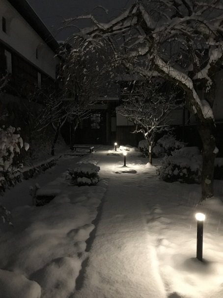「一週間の振り返り」【2024.01.15-01.20】