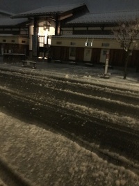 「今日は啓蟄なのに…」
