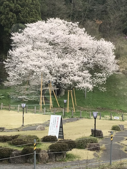 「朝帰り」～岐阜から始発で～
