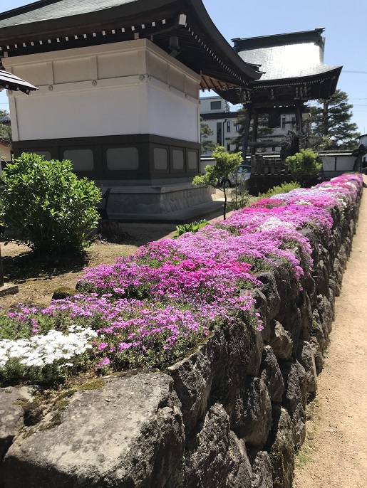 「妻の実家で神経を伸ばす」