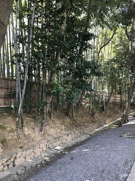 「恒例の京都日帰り」～今回は少し観光～