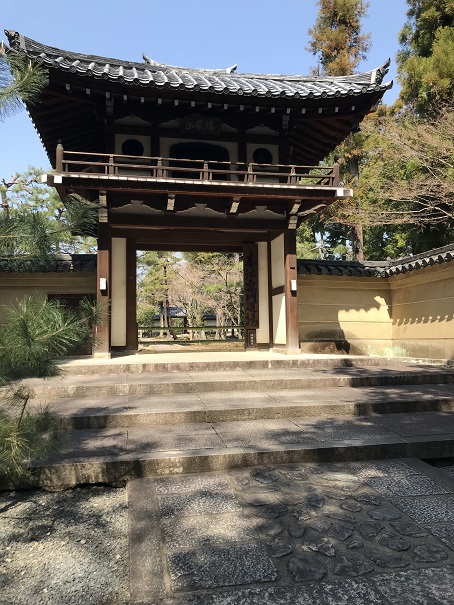 「恒例の京都日帰り」～今回は少し観光～
