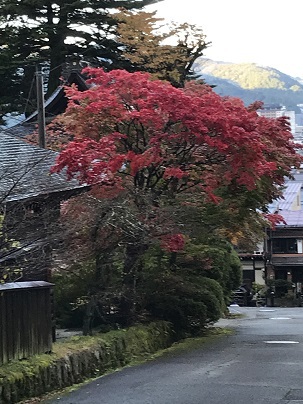 「週間コーディネート」【令和2年10月19日～10月24日】