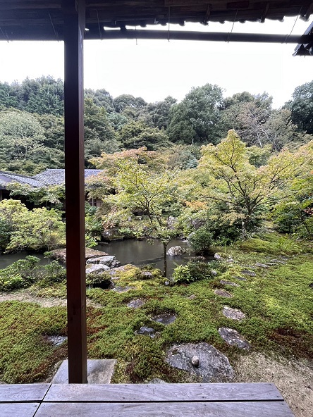 「恒例の京都日帰り」