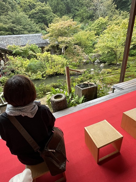 「恒例の京都日帰り」