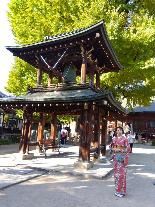 国分寺とイチョウと着物♪