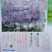 藤祭りお疲れ様です。 2019/05/07 07:11:21