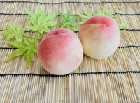桃を皮ごと食べてみた 2024/08/31 02:02:29