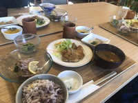 せっかくヘルシーなランチだったのに… 2024/02/14 16:09:55
