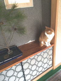 暮れも押し迫ってきました